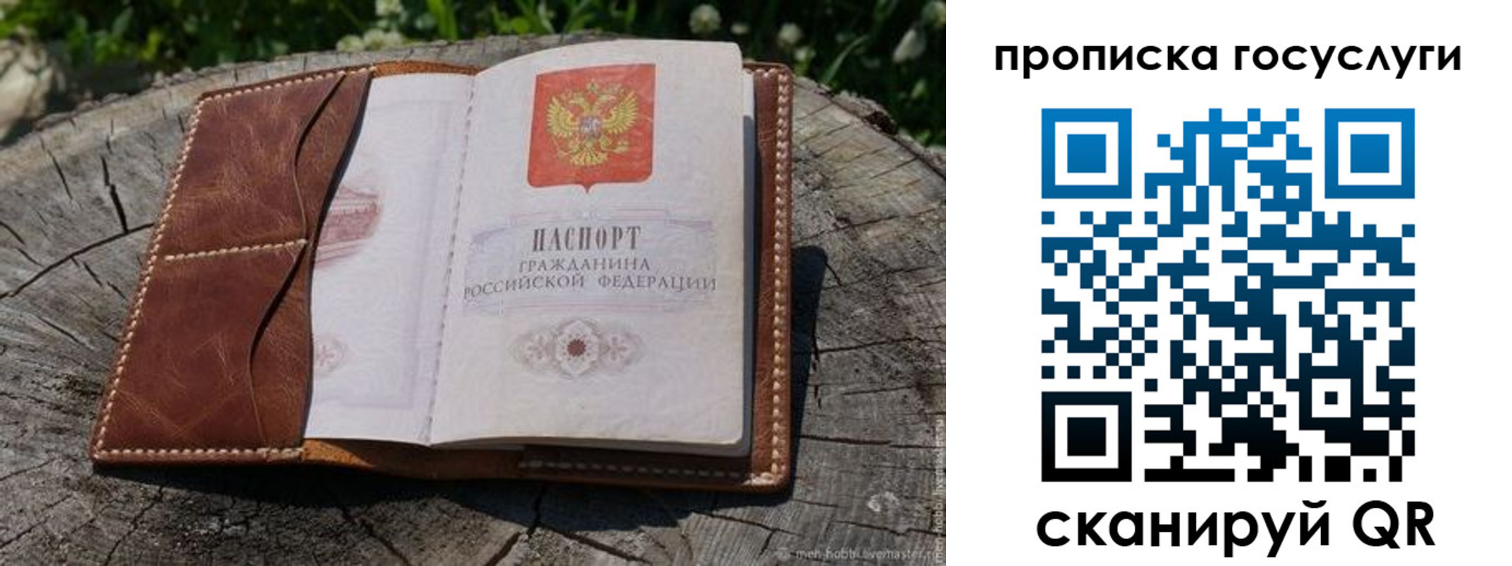 прописка для школы в Дедовске